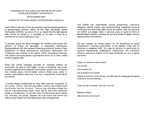 PLEDGE GBV 2025